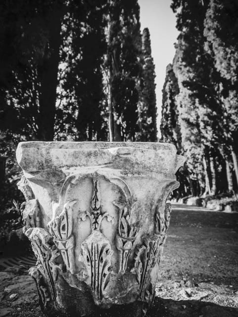 Villa Adriana, Tivoli, fragment of a Corinthian capital, near the so-called Poikile, by Joe Sheppard. Here as in the images below, I focussed on the ubiquitous acanthus as a motif -- both the juicy stalks rising in bloom at the time, and crisp leaves unravelling in marble atop richly decorated Corinthian capitals. When we climbed the hill to visit the so-called Temple of the Sibyl, it was clear that the earlier architects there had also designed the late-Republican structure with the natural surroundings in mind -- in this case the river roaring down the precipitous chasm beneath.