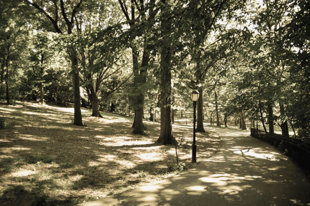 Just a few blocks from campus, Riverside Park is a quiet escape from the city bustle with its winding running trails and tall trees, by Deborah Sokolowski.